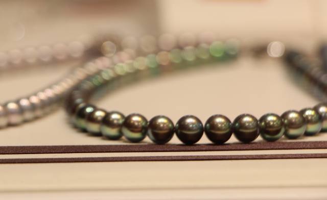 持っていると差がつく 大人の女性の品を高める黒蝶真珠ネックレス 一光堂